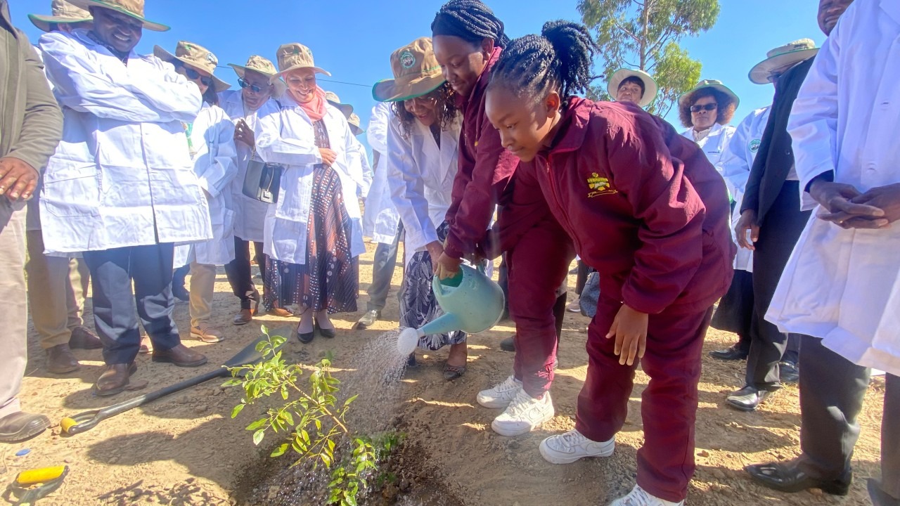 From Degraded Lands to Green Prosperity: Ethiopia’s Women at the Heart of Reforestation