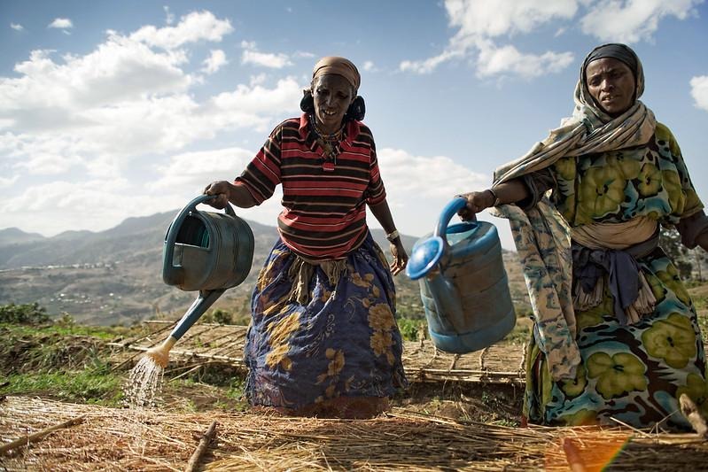 Seeds of Change: Ethiopian Women Reshaping Agriculture and Rural Development