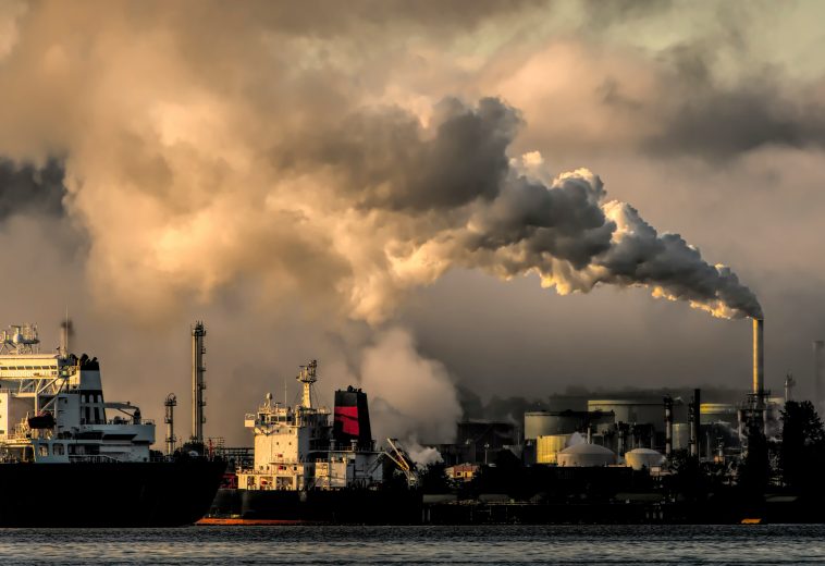 Green Wealth or Green Grab? The Debate Over Africa’s Carbon Credits