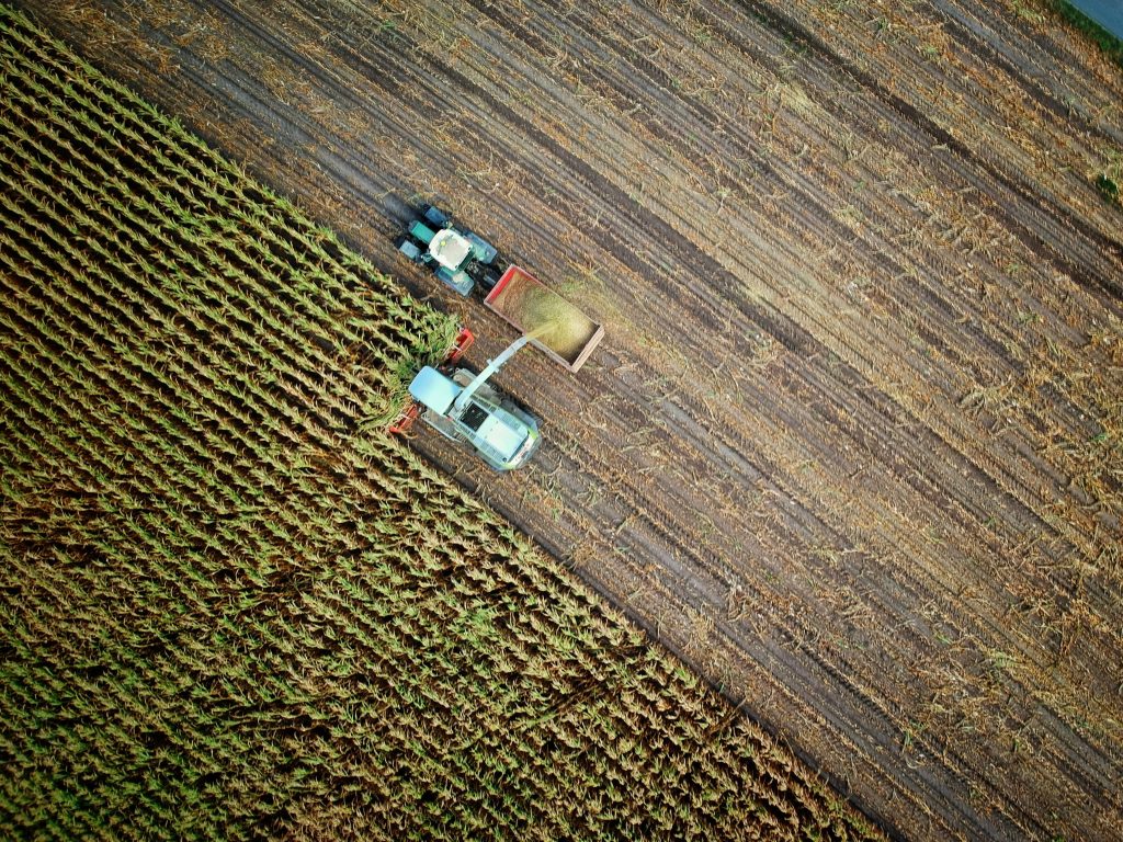 Smart Farms, Stronger Economies: Africa’s Agritech story