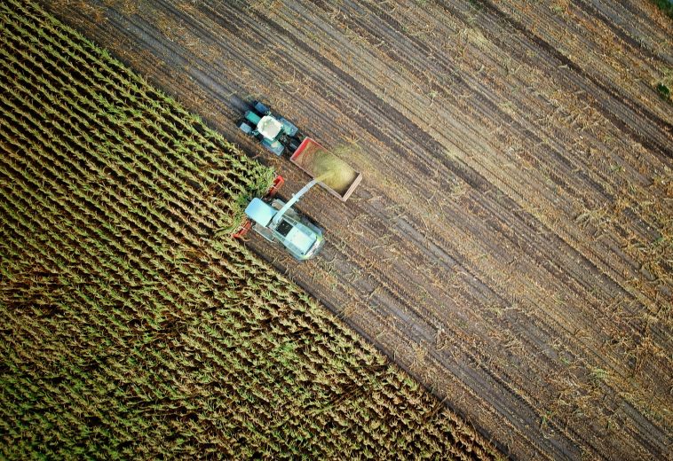 Smart Farms, Stronger Economies: Africa’s Agritech story