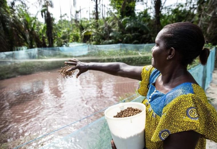 Changing the Tide: How African Women Are Powering the Blue Economy