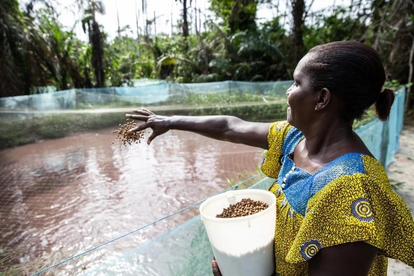 Changing The Tide: How African Women Are Powering The Blue Economy - African Leadership Magazine