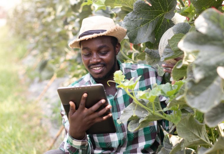 Smart Farming: The Boost for Digital Transformation of African Agriculture