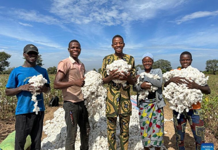 Benin’s Economic Rise: How West Africa’s Rising Star Is Outperforming Expectations