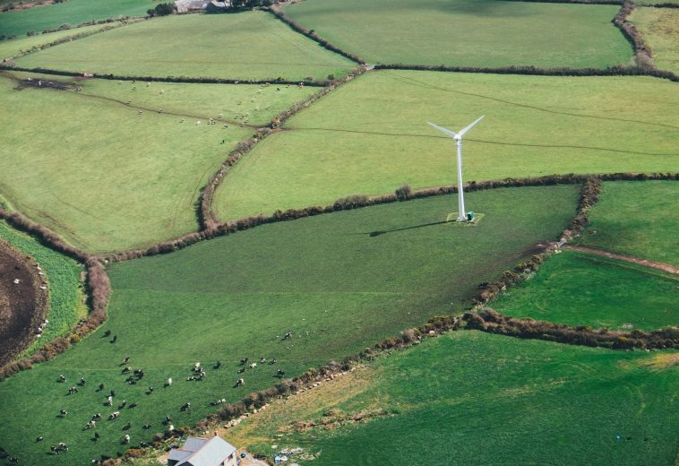 Green Hydrogen Race: Africa’s Blueprint for Sustainable Energy Leadership