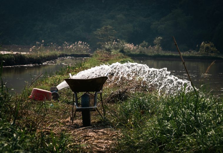 Scarcity to Sustainability: How Communities Are Securing Africa’s Water Future