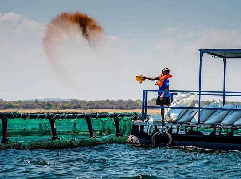 Africa’s Blue Economy Takes Shape: Fisheries, Aquaculture And Marine Industries Create New Opportunities