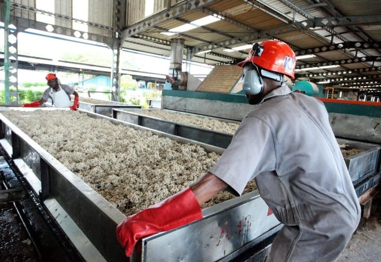 Made in Africa: The Industrial Push Reshaping the Continent’s Economy