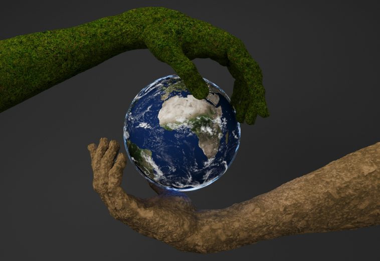 Green Economy Race: Africa’s Window for Economic Sovereignty is Now