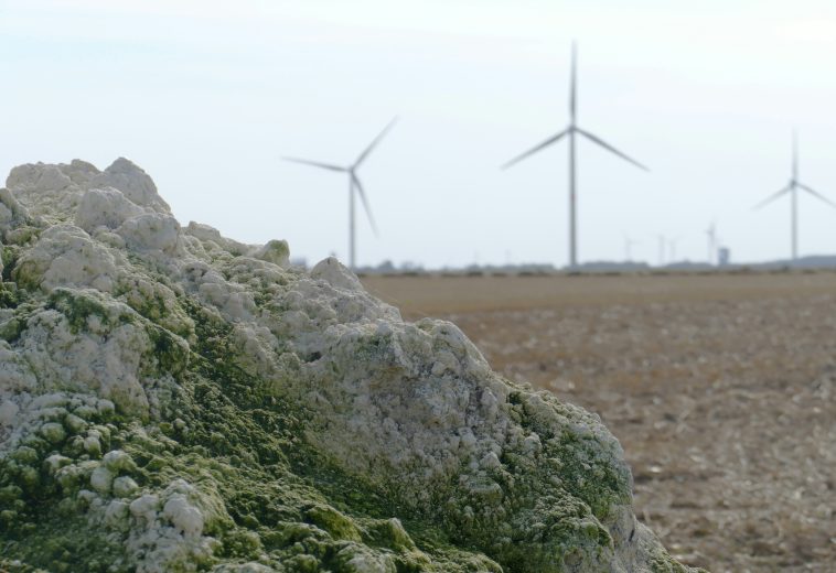 Africa’s Dual Advantage: Critical Minerals and Green Energy Potential