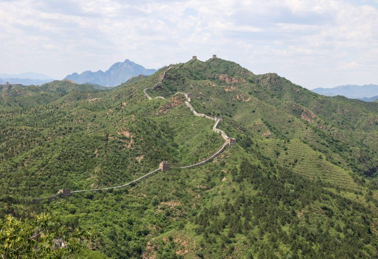 Africa’s Great Green Wall: Transforming Land Degradation into Economic Opportunity