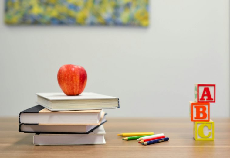 Education Reform Now: Africa’s Youth Bulge and Economic Transformation
