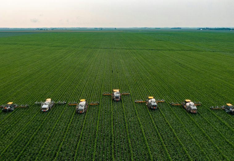 Africa’s Yield Gap: Smart Policies for Agricultural Transformation