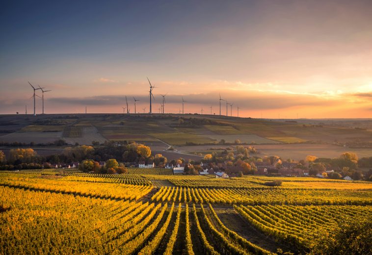 Continental Grid Vision: Transforming Africa’s Energy Landscape by 2040