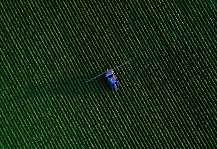 Millions Entering the Workforce: Africa’s Agricultural Sector Must Deliver Now
