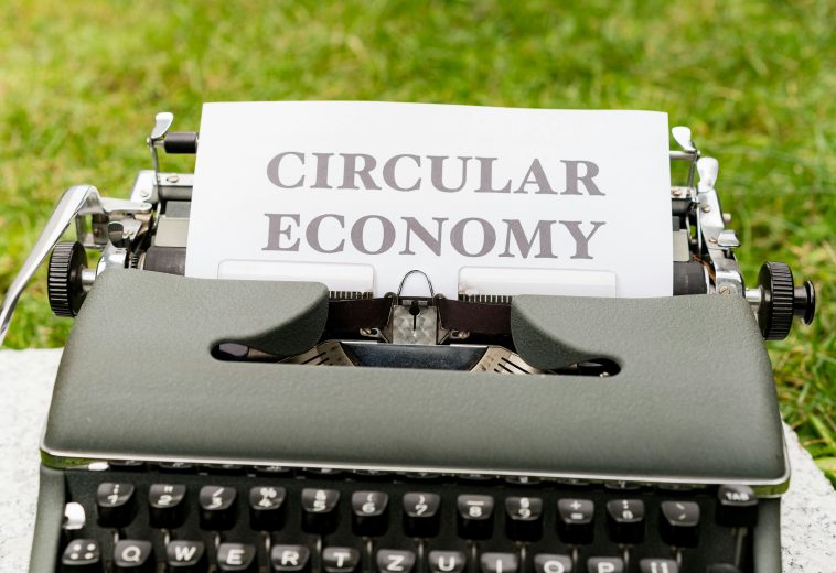 Social Protection: The Missing Piece in African Economic Reform