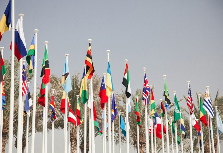 Africa’s New Alliances: Turning Global Uncertainty into Regional Opportunity