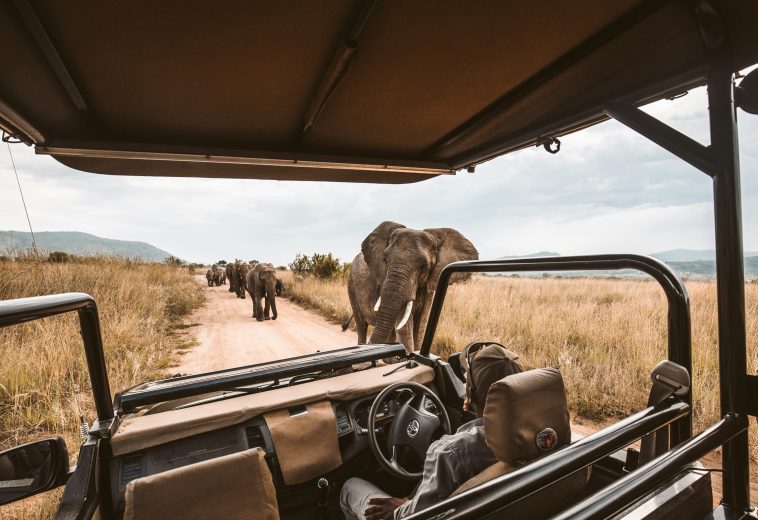 Africa’s Tourism Success: Unlocking Potential Through Collaboration