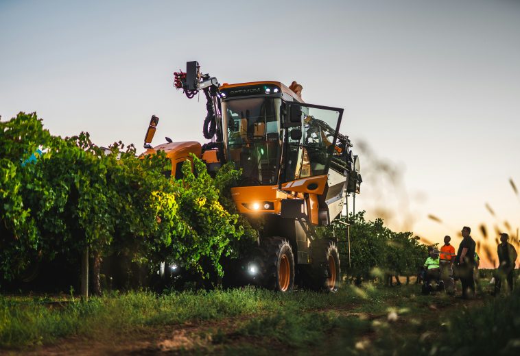 AI Precision Farming: Transforming Smallholder Agriculture Across Africa’s Digital Landscape
