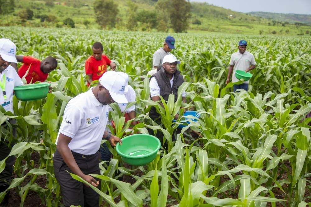 Building Resilience: Africa’s $5.1 Billion Push for Stronger Food and Energy Systems