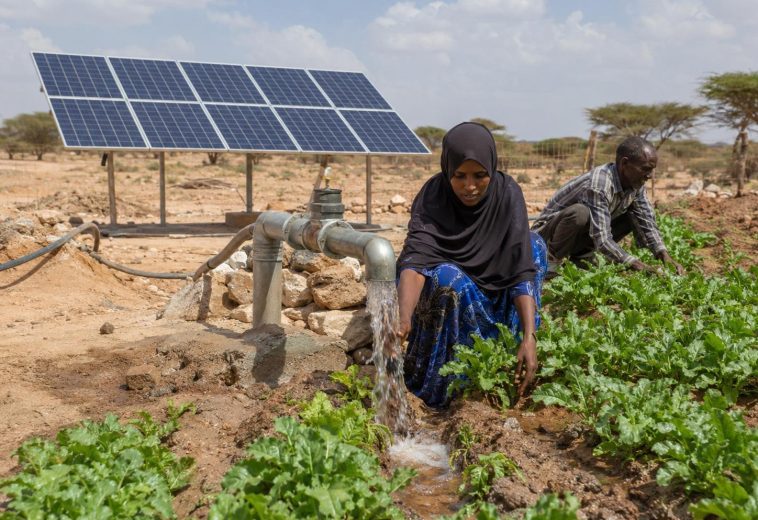 Building Resilience: Africa’s $5.1 Billion Push for Energy and Food Security