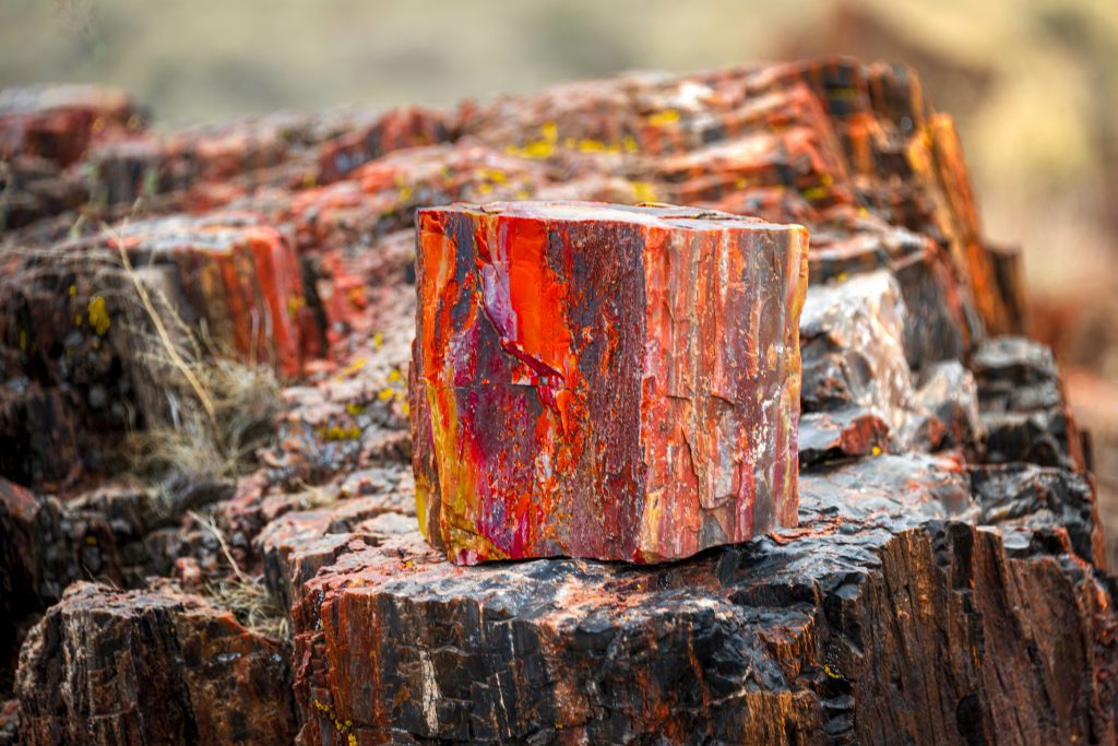 Africa’s Critical Minerals: From Resources to Industry