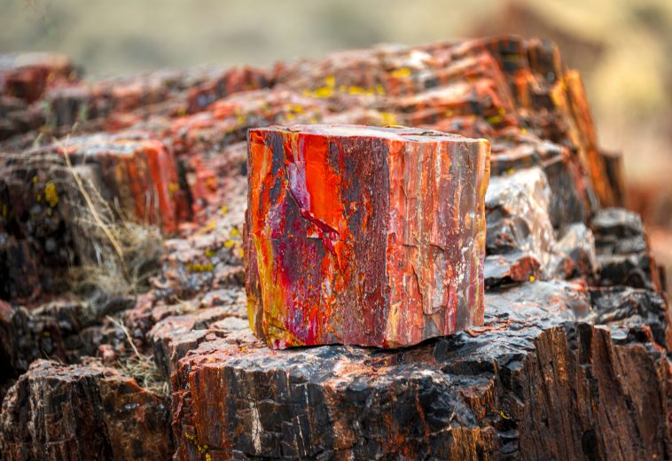 Africa’s Critical Minerals: From Resources to Industry