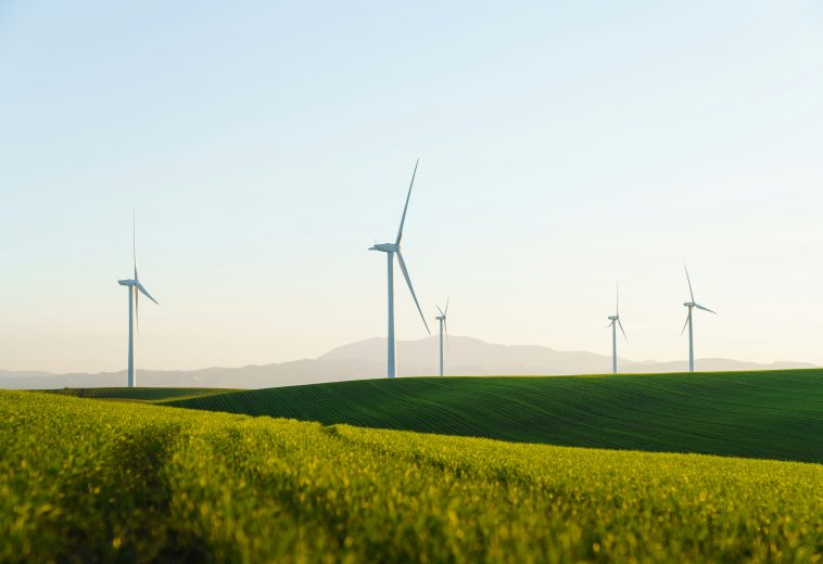 African Green Banks: De-risking Renewable Projects for Private Investment Growth
