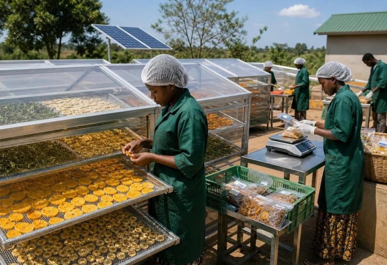AFRICA’S AGRIFOOD BET: CAN INVESTMENT TURN FARMING INTO AN INDUSTRIAL POWERHOUSE?