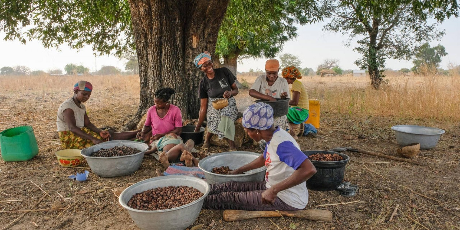 Nature-Based Enterprises: Unlocking Africa’s Green Investment Potential