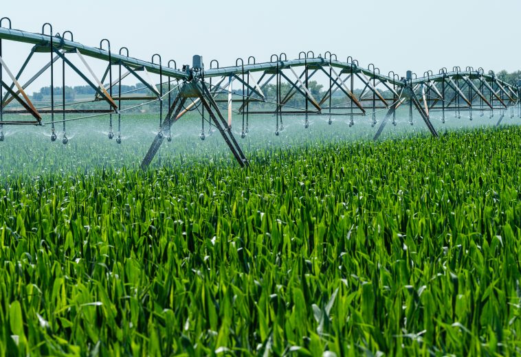 Solar Irrigation in Africa: Ethiopia’s Lessons on Water and Finance