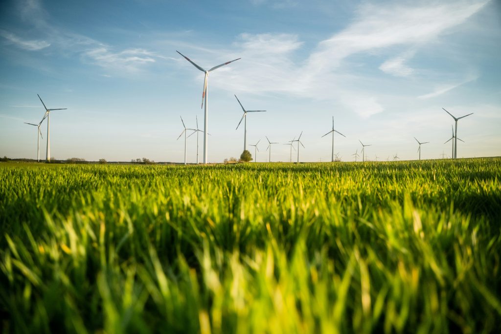 Africa’s Green Industrial Future: From Minerals To Manufacturing