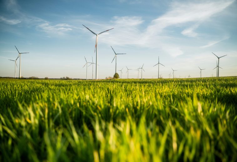 Africa’s Green Industrial Future: From Minerals To Manufacturing